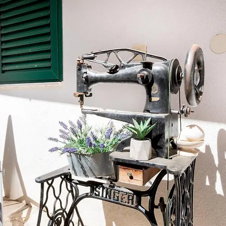 House Frane بيت للعطل *
